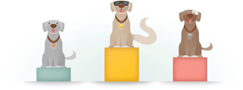 Long Tail Illustration
